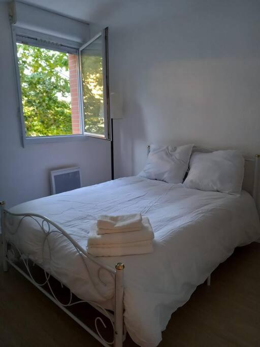 Appartement Cosy Cugnaux Exterior photo